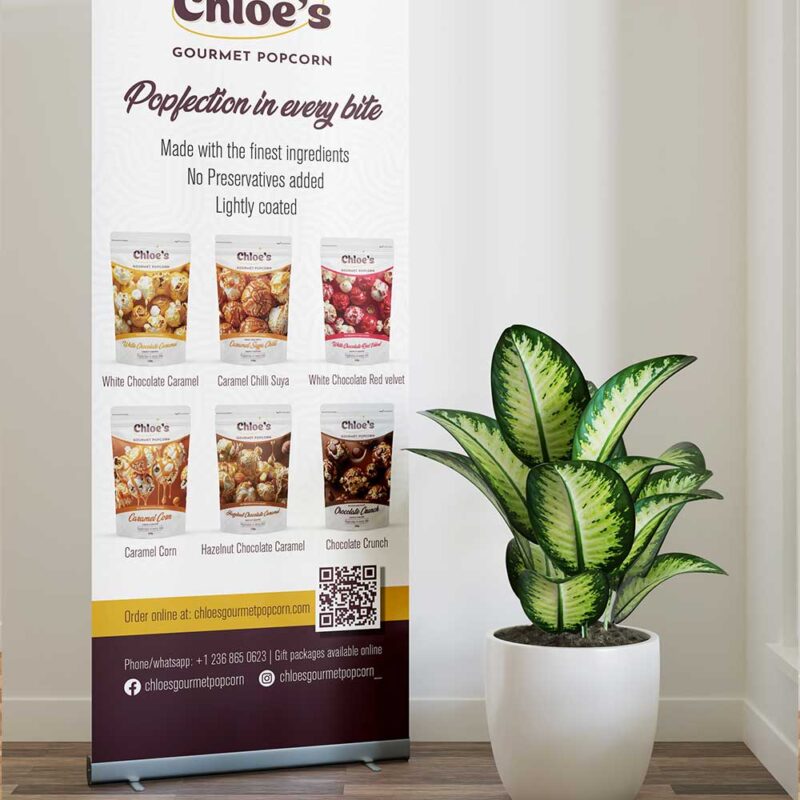 rollup banner printing vancouver